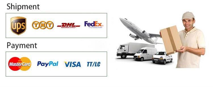 Prota's services